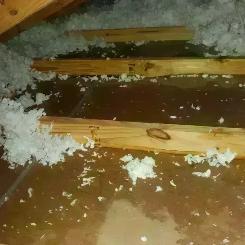 Attic Water Damage in Ripley, TN